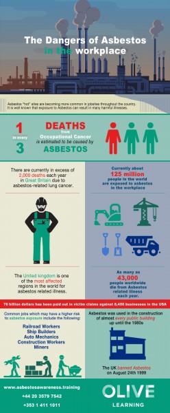 Asbestos Awareness Infographic